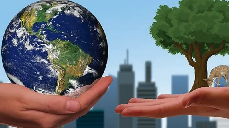 El futuro de la pastoral de la ecología integral en las diócesis españolas