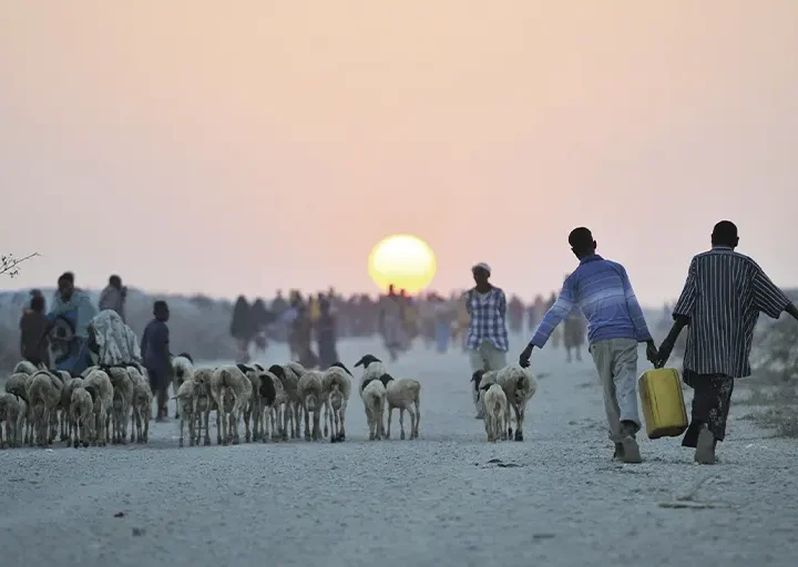 Protección social y crisis climática
