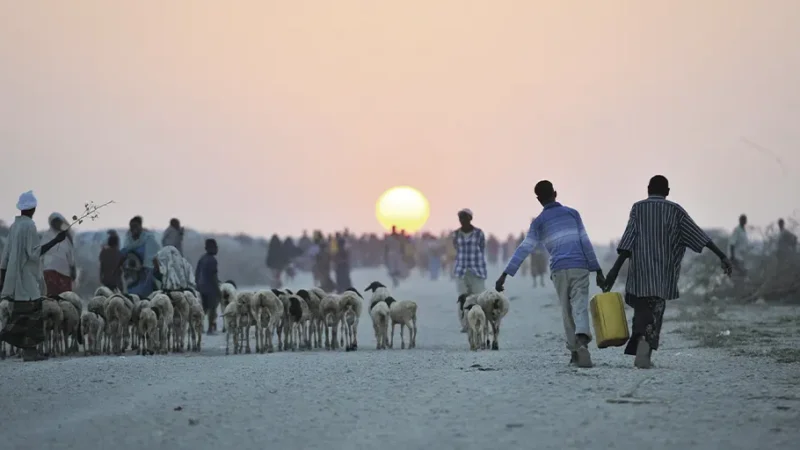 Protección social y crisis climática