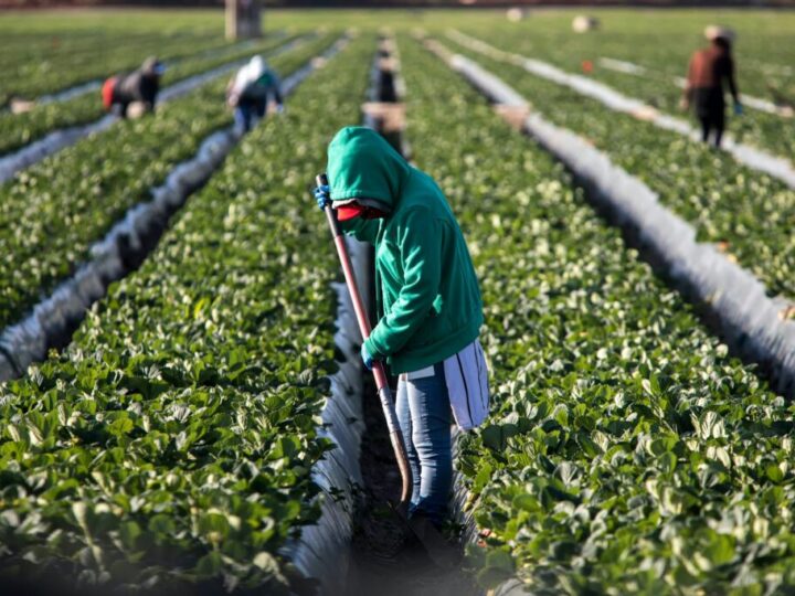 Organizaciones sociales alertan de exigencias irregulares en los procesos de regularización por arraigo en Comunidad Valenciana