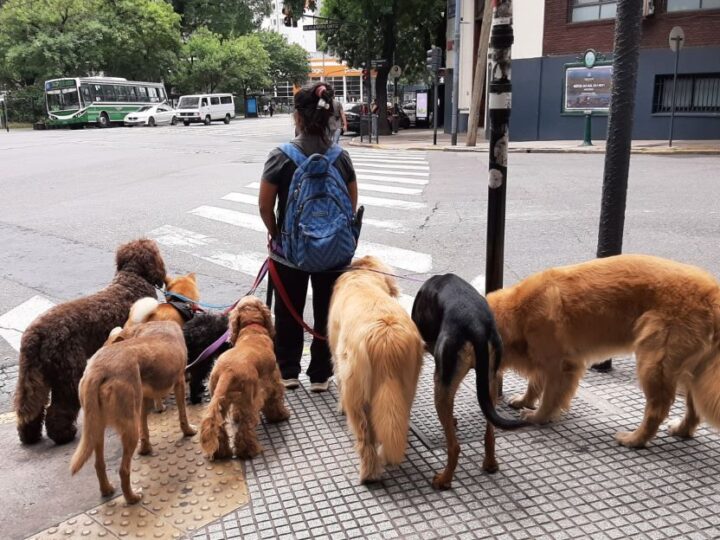 El frágil horizonte de América Latina en 2026