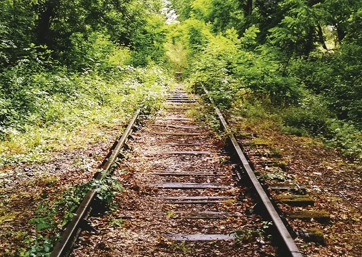 Vulnerables, necesitados, transformados, convocados a la vida