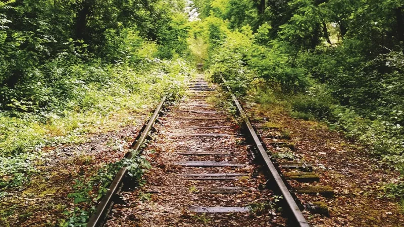 Vulnerables, necesitados, transformados, convocados a la vida