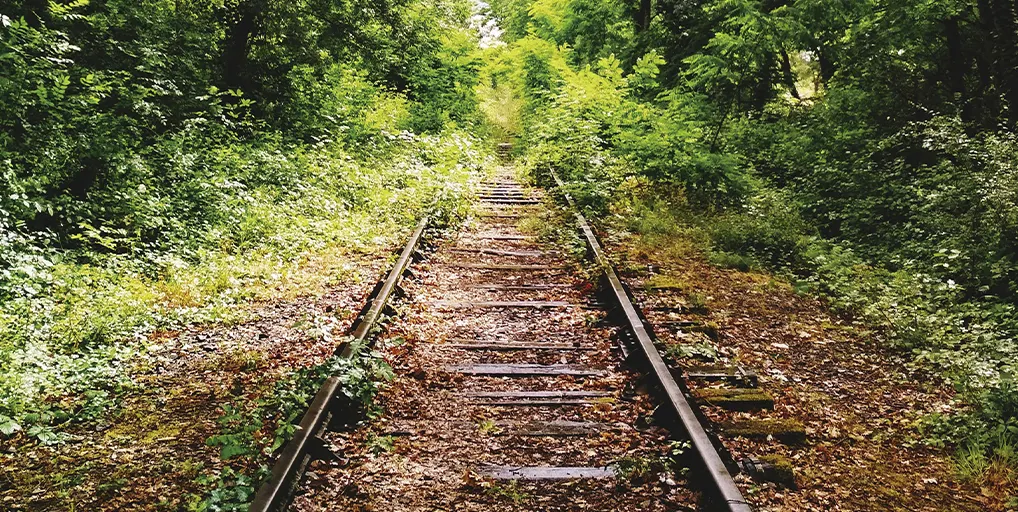 Vulnerables, necesitados, transformados, convocados a la vida