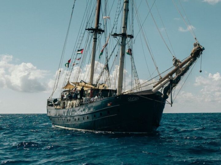 Una nueva flotilla anuncia, para el 29 de marzo, la mayor operación humanitaria hacia Gaza por tierra y mar