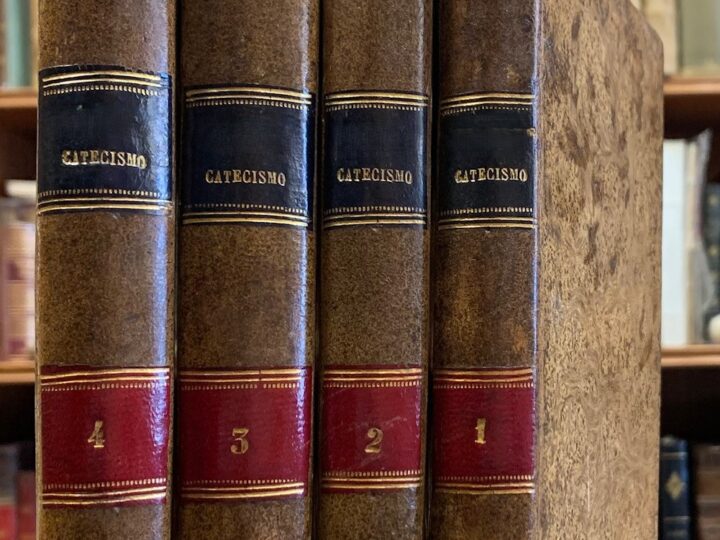 Carta al papa León XIV. ¿Qué hacemos con el Catecismo? Latigazos por un laico de a pie