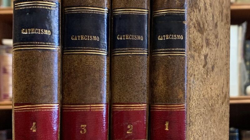 Carta al papa León XIV. ¿Qué hacemos con el Catecismo? Latigazos por un laico de a pie