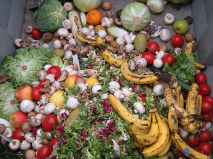 Basureros llenos, vientres vacíos