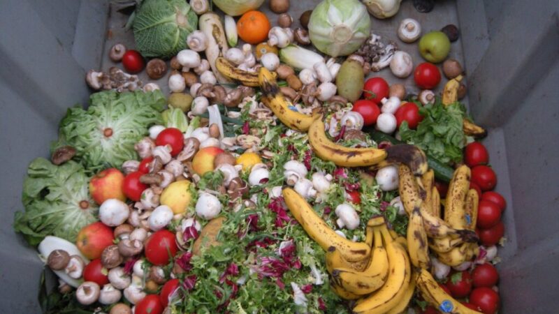 Basureros llenos, vientres vacíos