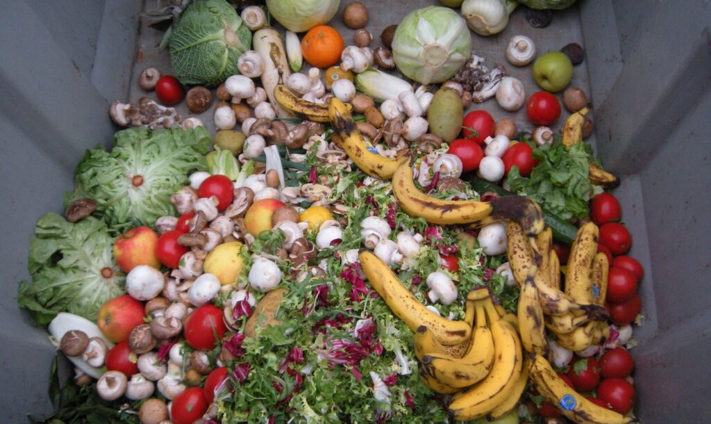 Basureros llenos, vientres vacíos