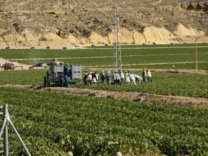 La regularización masiva de 500000 inmigrantes indocumentados en España no es extrema ni oportunista, y tiene precedentes