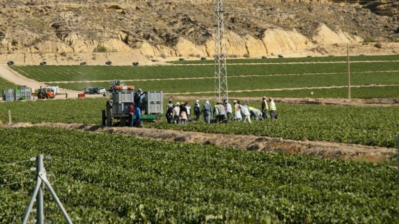 La regularización masiva de 500000 inmigrantes indocumentados en España no es extrema ni oportunista, y tiene precedentes