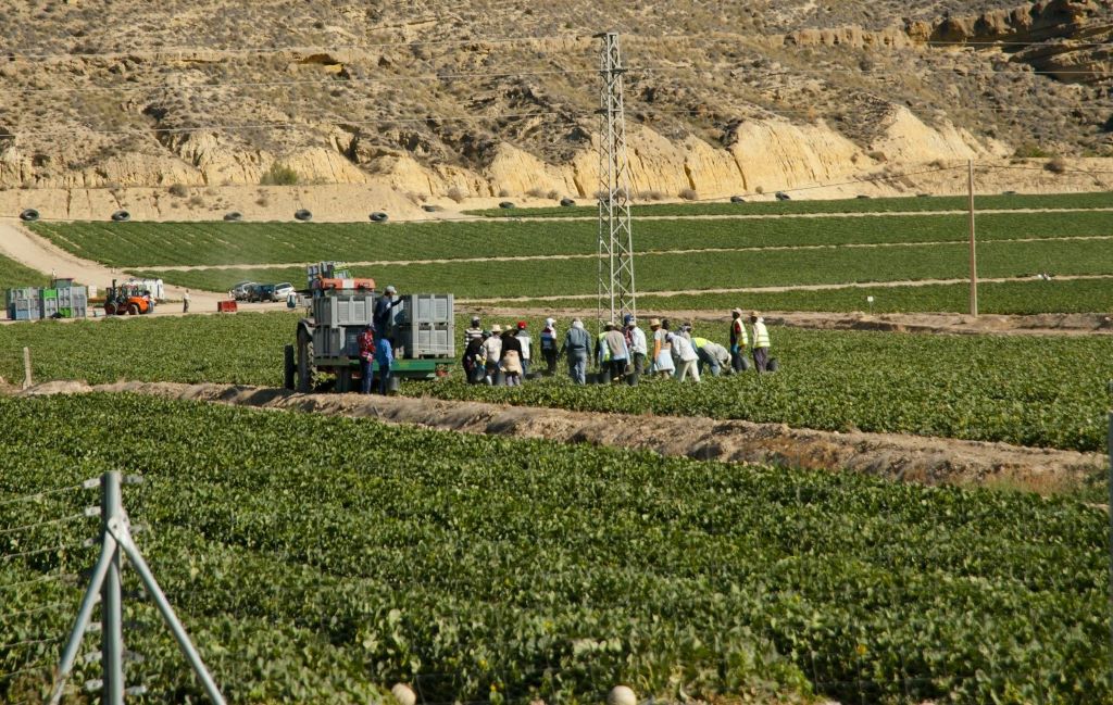 La regularización masiva de 500000 inmigrantes indocumentados en España no es extrema ni oportunista, y tiene precedentes