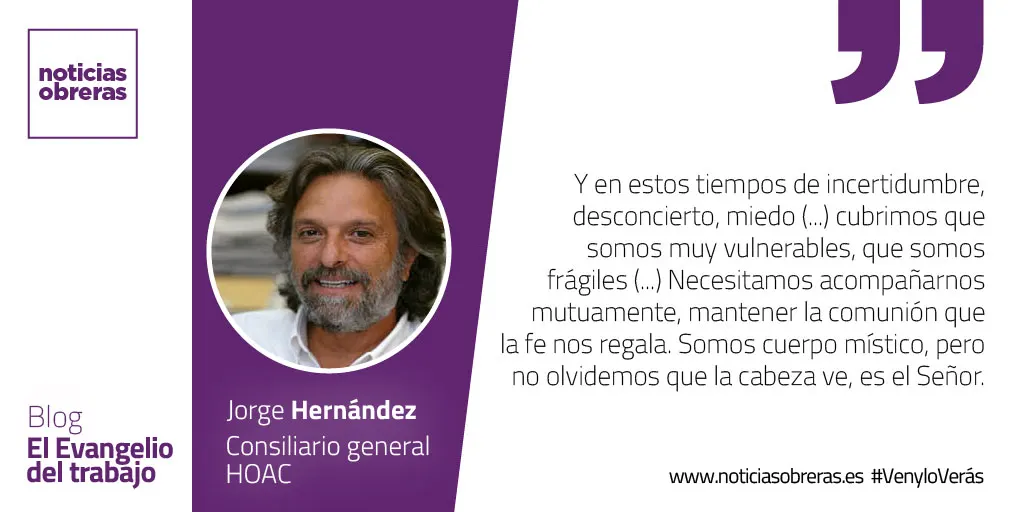 «Yo soy la luz del mundo»