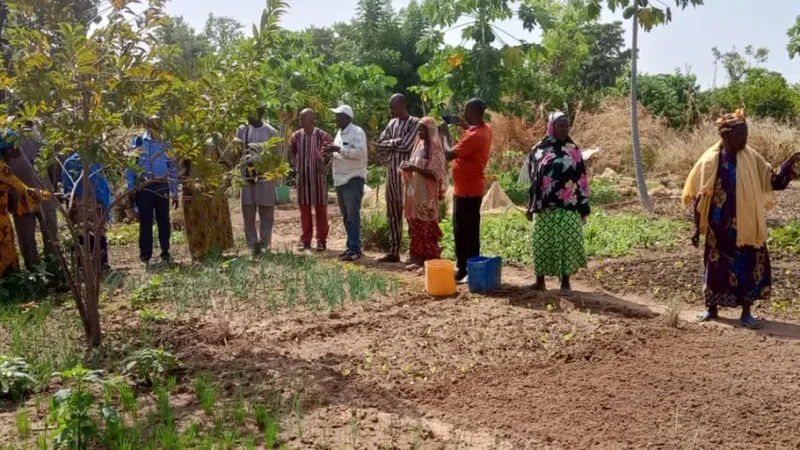Kamalé: el «Campo de la esperanza» donde las mujeres desafían el clima