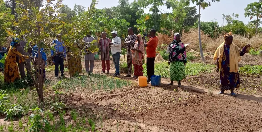 Kamalé: el «Campo de la esperanza» donde las mujeres desafían el clima