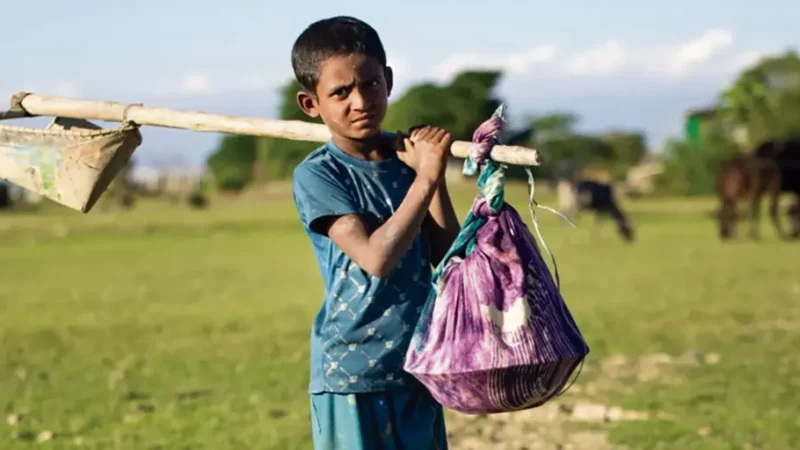 Erradicar el trabajo infantil | México: Homicidio industrial