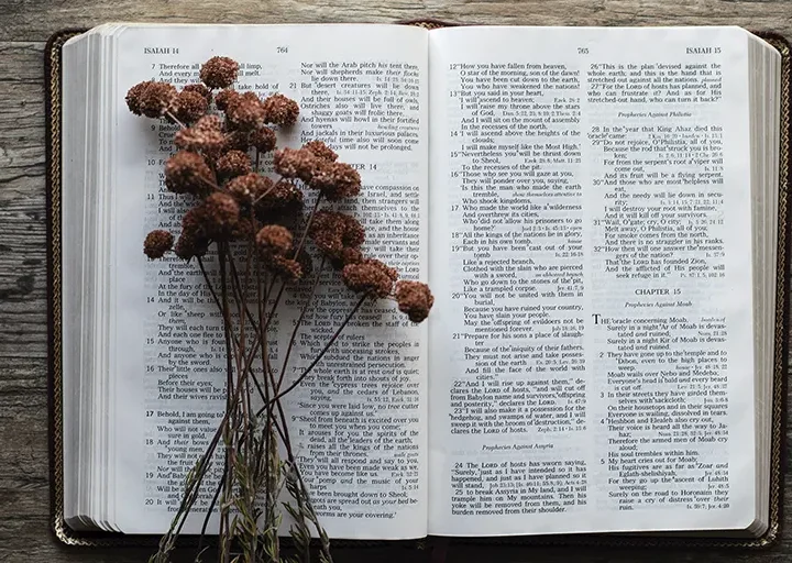 Yo soy la resurrección y la vida…