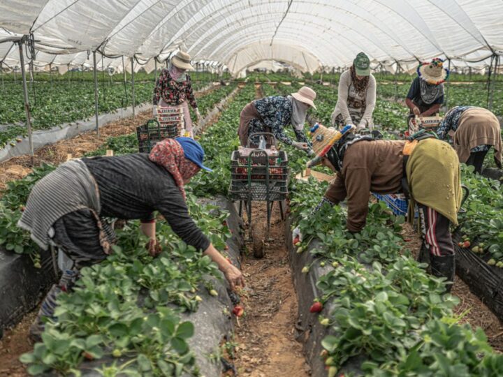 El obispo de Huelva llama a garantizar la dignidad de las personas trabajadoras migrantes y a promover políticas migratorias responsables
