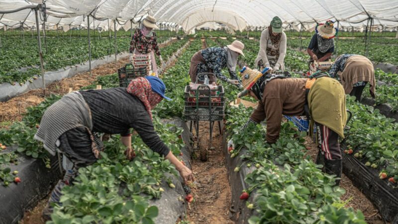 El obispo de Huelva llama a garantizar la dignidad de las personas trabajadoras migrantes y a promover políticas migratorias responsables