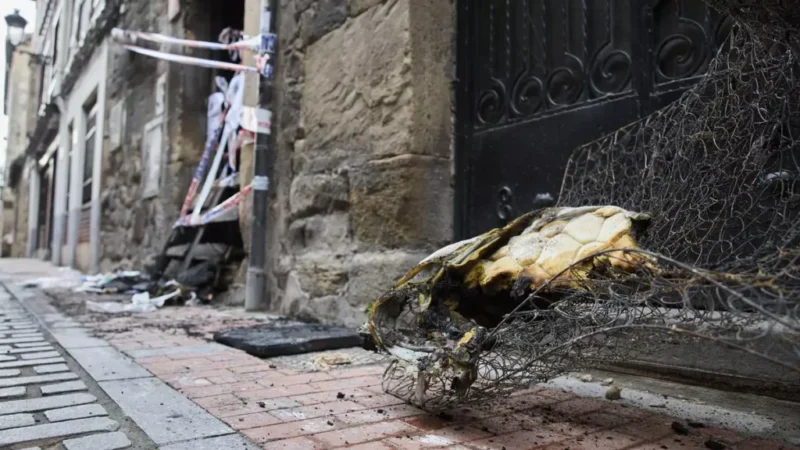Oración con manos, voz, corazón que sostiene-defiende-acompaña