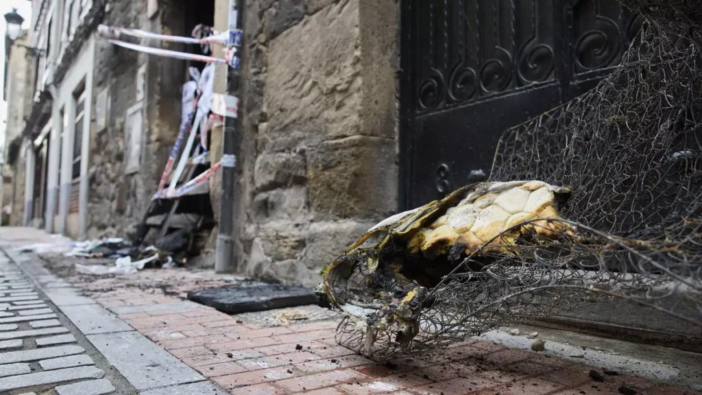 Oración con manos, voz, corazón que sostiene-defiende-acompaña