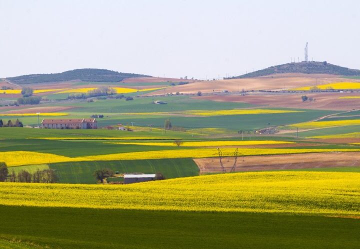 Tres cuartos de siglo le pueblan