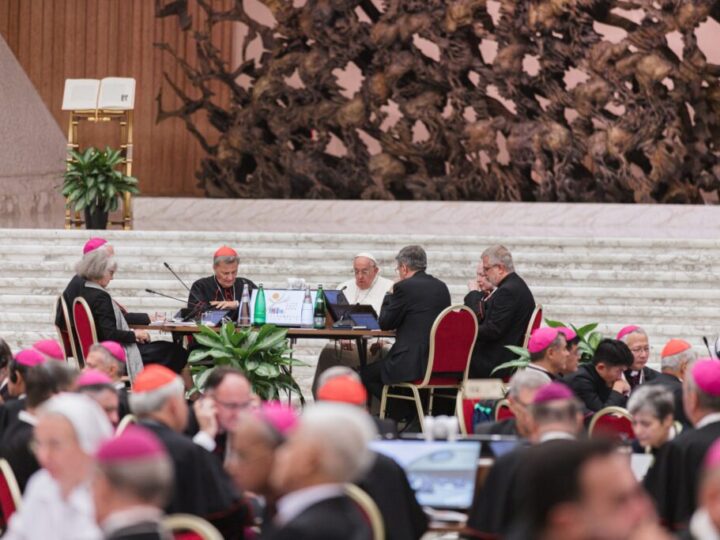 La Iglesia española actualiza la web del Sínodo para la fase de implementación