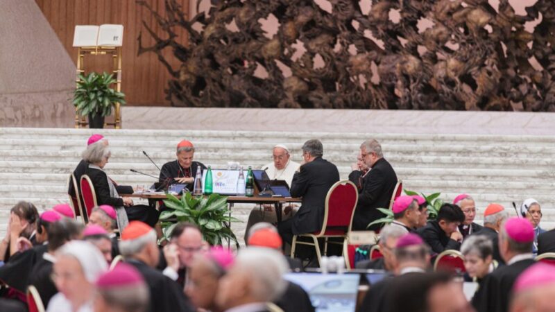 La Iglesia española actualiza la web del Sínodo para la fase de implementación