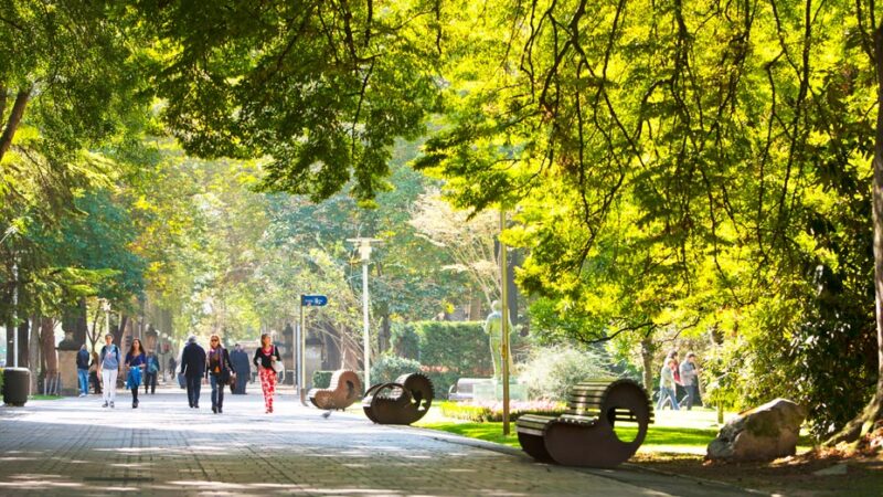 Movimientos de trabajadoras y trabajadores cristianos europeos defienden el domingo libre como un pilar democrático