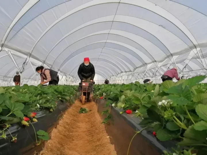 La Iglesia de Huelva denuncia como “un ataque frontal a la dignidad humana” las propuestas de VOX contra las personas migrantes