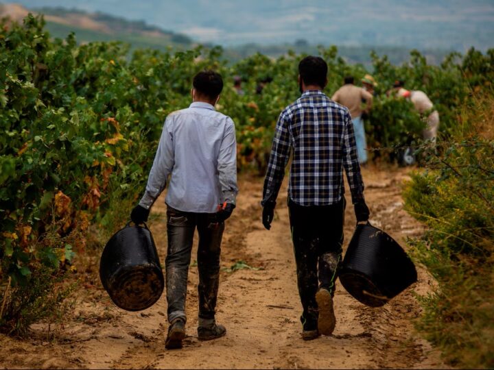 La Cuaresma culmina con una llamada a reconocer a las personas empobrecidas como protagonistas
