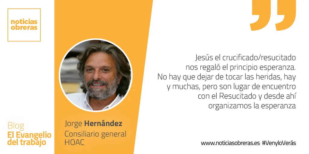 «Dichosos los que han creído sin haber visto»