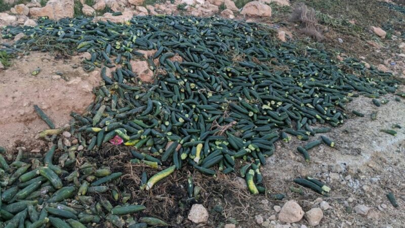 Toneladas de frutas y verduras pudriéndose en el campo, otro síntoma de un modelo agrario insostenible