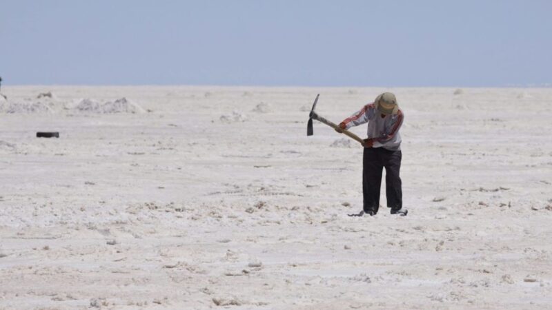 El impacto social de los coches eléctricos y de combustible: así afectan al empleo, la salud y la recaudación fiscal