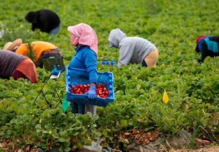 La Iglesia denuncia como “escándalo ético” la precariedad de las mujeres migrantes jóvenes