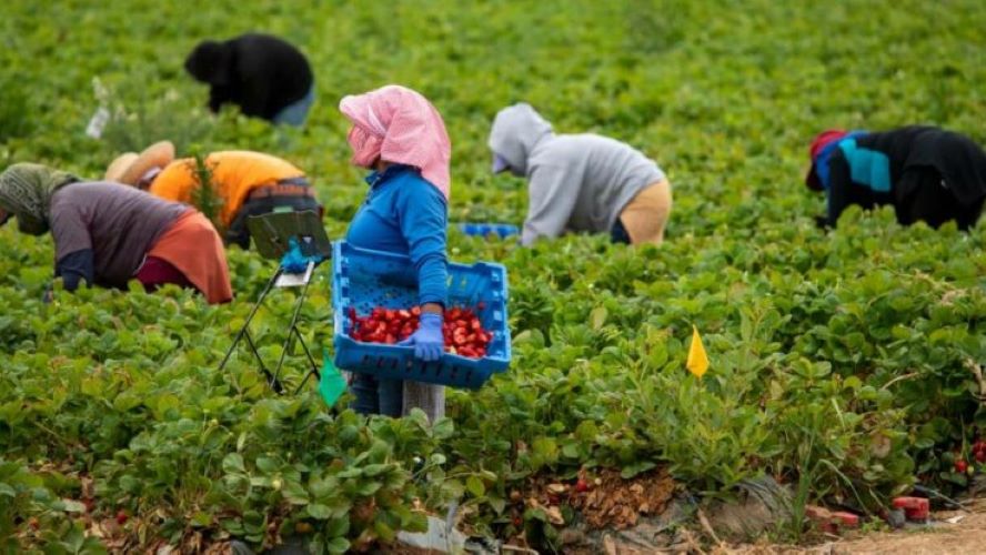 La Iglesia denuncia como “escándalo ético” la precariedad de las mujeres migrantes jóvenes