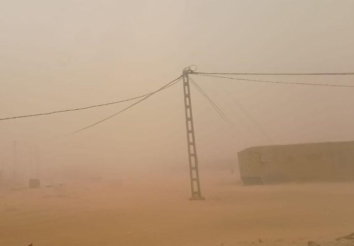 La dignidad que resiste en el desierto: testimonio desde los campamentos saharauis