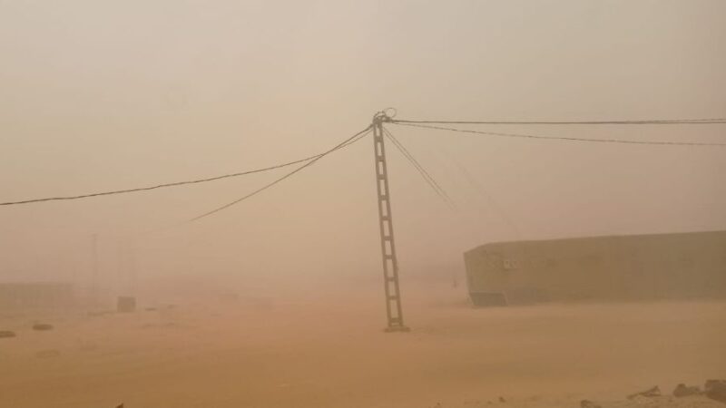 La dignidad que resiste en el desierto: testimonio desde los campamentos saharauis