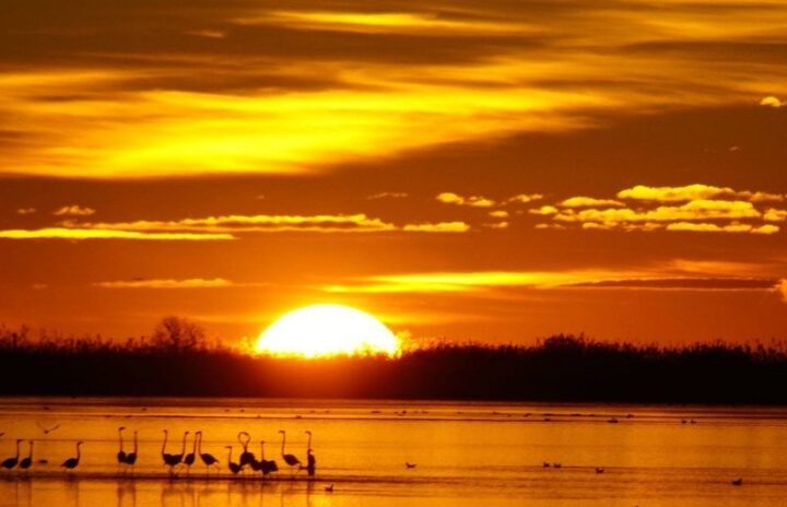 Europa se recalienta y acelera la crisis climática con impactos directos en el agua, la salud y el territorio