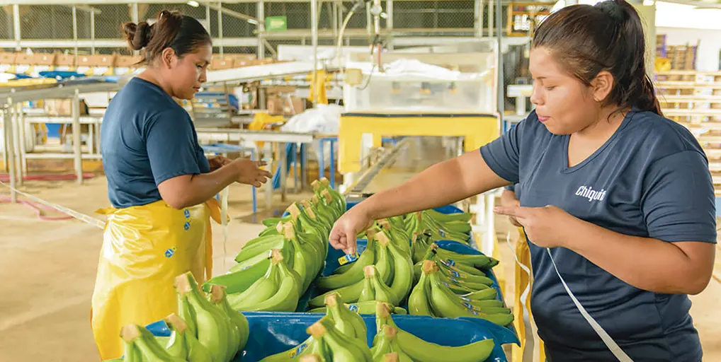 Guatemala: Plantaciones bananeras | Ayuda Oficial al Desarrollo | Riesgos psicosociales en el trabajo