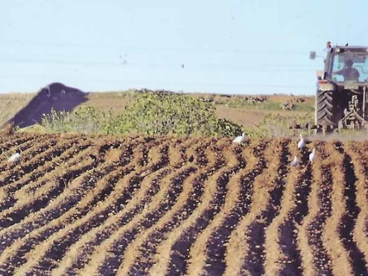 Cristianos y cristianas del medio rural reclaman un desarrollo que traiga verdadera vida a los pueblos