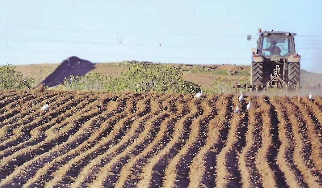 Cristianos y cristianas del medio rural reclaman un desarrollo que traiga verdadera vida a los pueblos