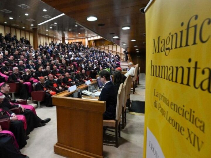 “Magnifica humanitas”: una vista panorámica