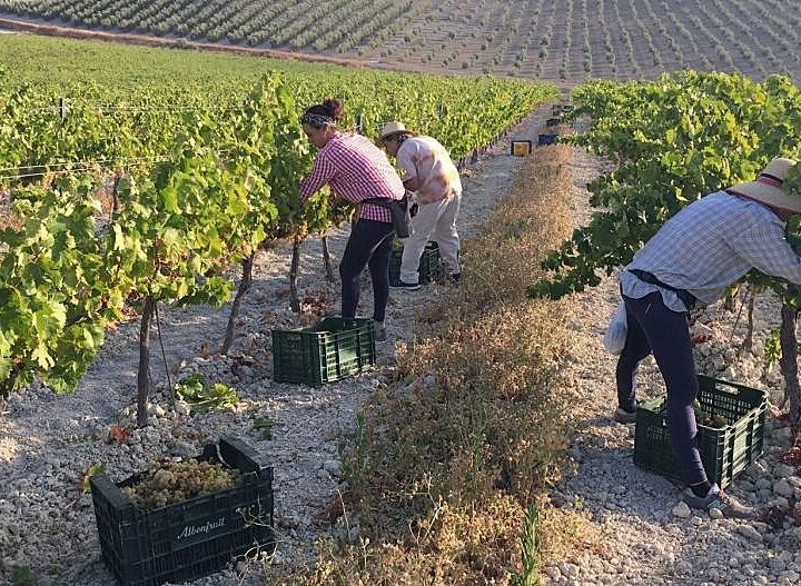 La pastoral del trabajo de Sigüenza-Guadalajara pone el foco en la realidad laboral del mundo rural