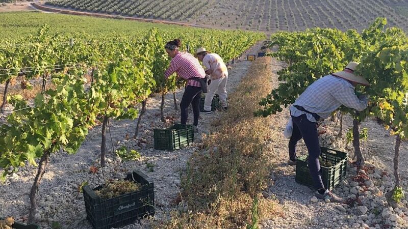 La pastoral del trabajo de Sigüenza-Guadalajara pone el foco en la realidad laboral del mundo rural