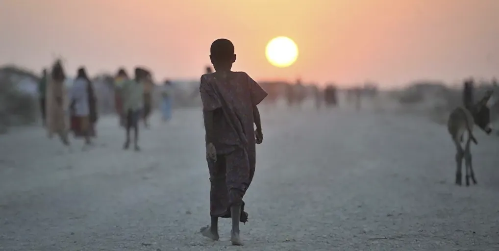 Llamada por la paz