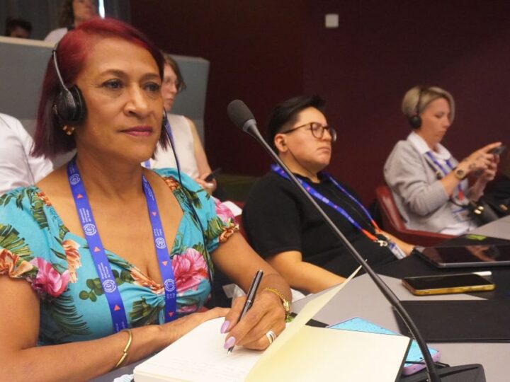 Luz Myriam Fique: “La innovación tecnológica debe ir de la mano del trabajo decente”