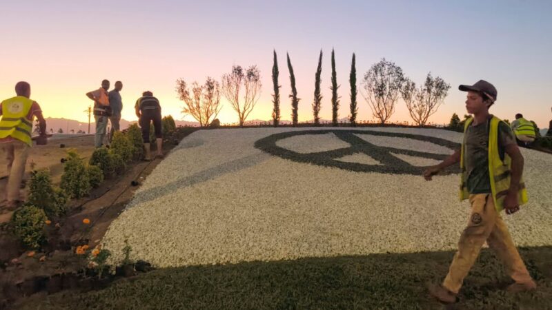 León XIV vincula el cuidado de la creación con la paz: “Con sus espadas forjarán arados”