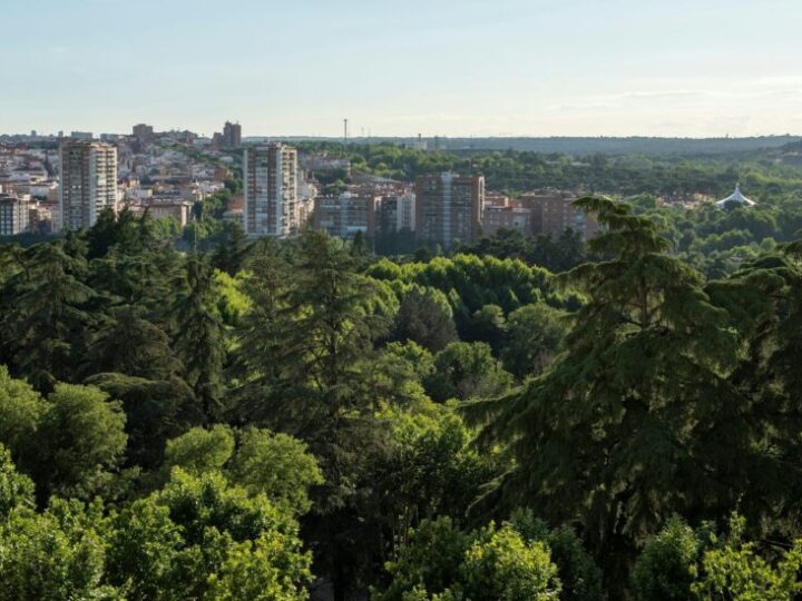 Contra el calor urbano, más naturaleza